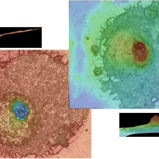 1THEMA-Technochim-afbeelding4-piqure.gif