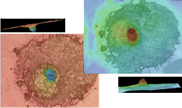 1THEMA-Technochim-afbeelding4-piqure.gif