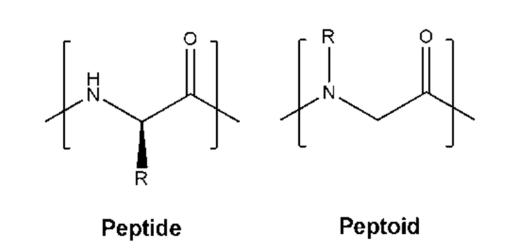 1UITHETBEDRIJFSLEVEN-SolGelafbeelding5Peptoide.png
