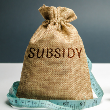 Subsidies voor digitale groei!