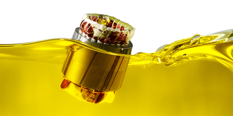 1UITHETBEDRIJFSLEVEN-Axalta1_ImpregnatedStator.jpg