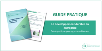 Le développement durable en entreprise – Guide pratique pour passer à l’action