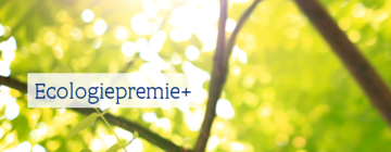 Financiële steun voor een groener en efficiënter energieverbruik